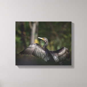 Toile Photo de la nature du Cormoran