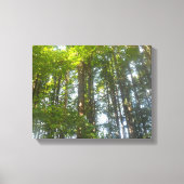 Toile Photo de la nature en forêt (Recto)