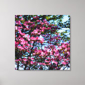 Toile Photo de l'arbre à bois rose (Recto)