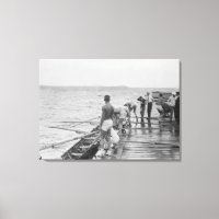 Photo de l'équipe d'aviron de Stanford