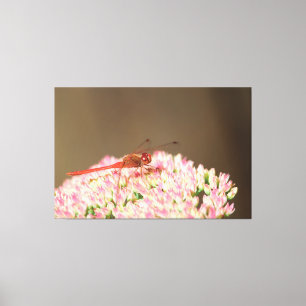 Toile Photo de libellule rouge