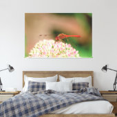 Toile Photo de libellule rouge (Insitu(Chambre))