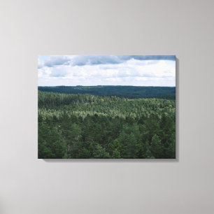 Toile Photo de paysage naturel de forêt et de nuages aér