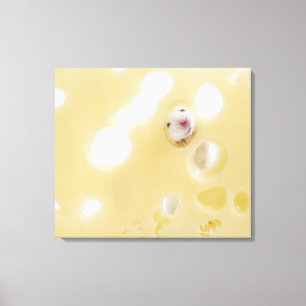 Toile Photo de studio d'une souris blanche regardant à t