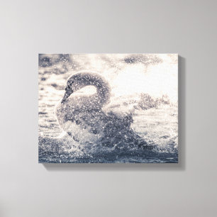 Toile Photo de Swan Nature