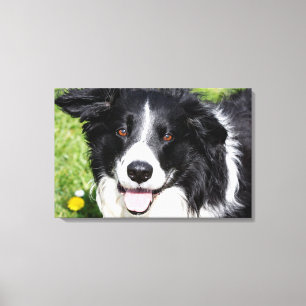 Toile Photo d'un chien heureux