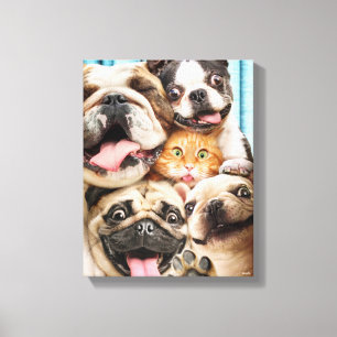 Toile Photo d'un groupe de chiens et de chats