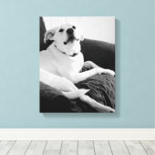 Toile Photo en noir et blanc de Talking Dog Print (Insitu (Plancher de Bois))