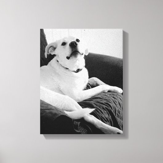 Toile Photo en noir et blanc de Talking Dog Print (Recto)