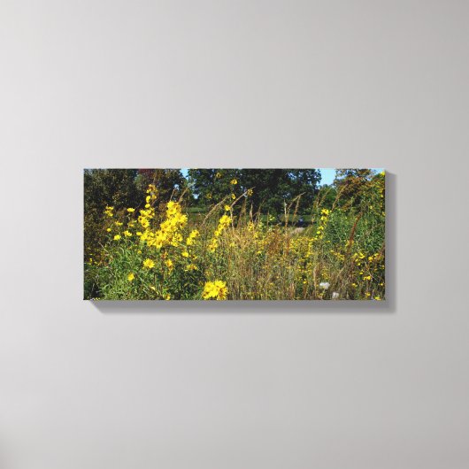 Toile Photo Fleurs de prairie Jaune (Recto)