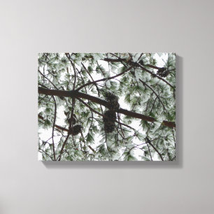 Toile Photo hivernale sous le pin couvert de neige