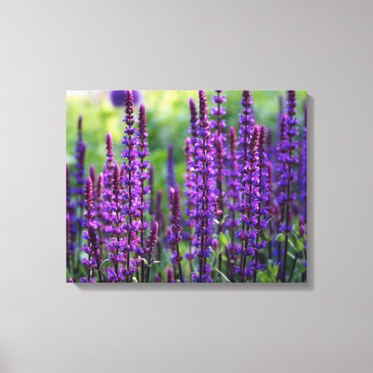 Toile photo Lavender Lilac (Recto)