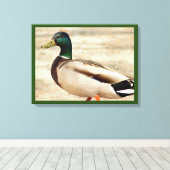 Toile Photo Mallard Duck (Insitu (Plancher de Bois))