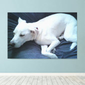 Toile Photo mignonne de beau chien blanc dormant (Insitu (Plancher de Bois))