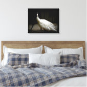 Toile Photo Peacock blanc (Insitu(Chambre))