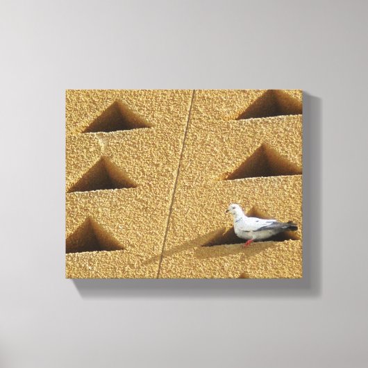 Toile Photo Pigeon (Recto)