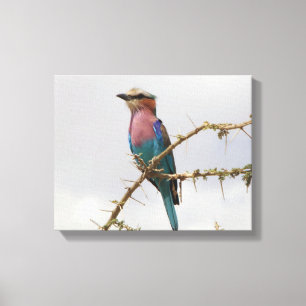 Toile Photo Rainbow Bird