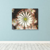 Toile Photo Succulente de Debra Lee Baldwin (Insitu (Plancher de Bois))