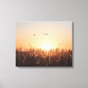 Toile Photo Sunrise Reed Nature