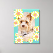 Toile Photo Turquoise simple Daisy (Recto)
