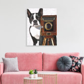 Toile Photographe Boston Terrier (Insitu(Salon))