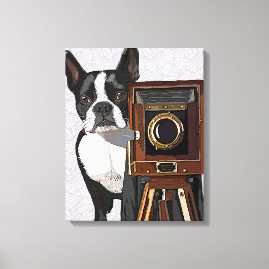 Toile Photographe Boston Terrier (Recto)