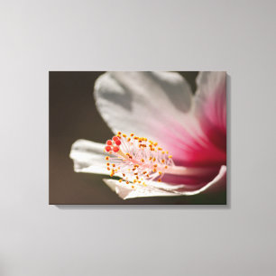Toile Photographie à fleurs tropicale blanche et rose de