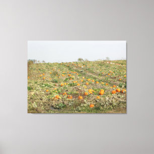Toile Photographie d'art mural de champ de citrouilles a