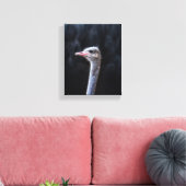 Toile Photographie d'autruche (Insitu(Salon))