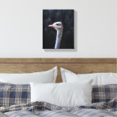 Toile Photographie d'autruche (Insitu(Chambre))