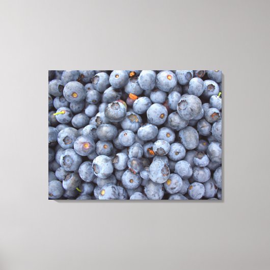 Toile Photographie de bleuets. (Recto)