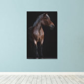 Toile Photographie de cheval (Insitu (Plancher de Bois))