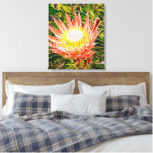Toile Photographie de fleurs australiennes de Protea (Insitu(Chambre))