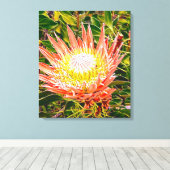 Toile Photographie de fleurs australiennes de Protea (Insitu (Plancher de Bois))