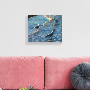 Toile Photographie de Freeland Mutiny Bay Oiseaux Vagues