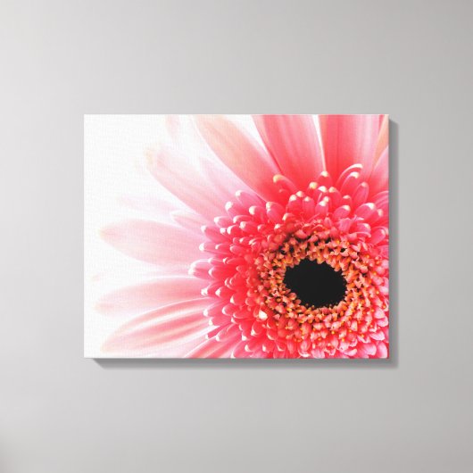 Toile Photographie de gerbera rose frais (Recto)