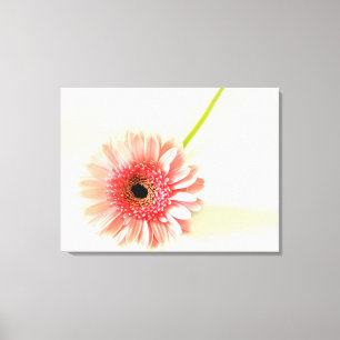 Toile Photographie de gerbera rose frais