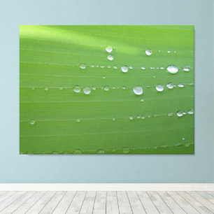 Toile Photographie de gouttes de pluie sur une feuille v
