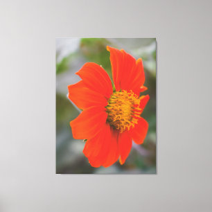Toile Photographie de la Nature Fleur Orange Chaud Vibra