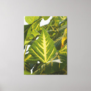 Toile Photographie de la nature Texture de feuille verte