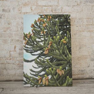 Toile Photographie de l'arbre du casse-tête