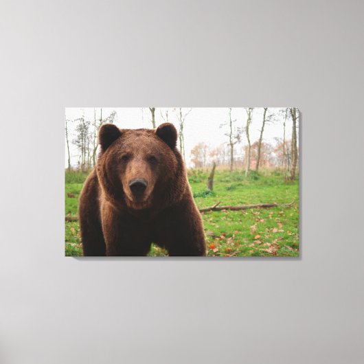 TOILE PHOTOGRAPHIE DE L'OURS GRIZZLY WRAPEE CANVAS (Recto)
