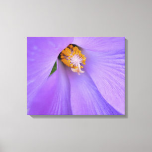 Toile Photographie de macro rapprochement de fleur viole