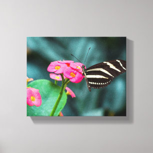 Toile Photographie de papillon sur fleur rose
