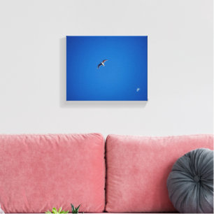 Toile Photographie de petit oiseau dans le ciel sur le f