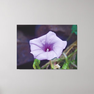 Toile Photographie de près d'une délicate fleur pourpre