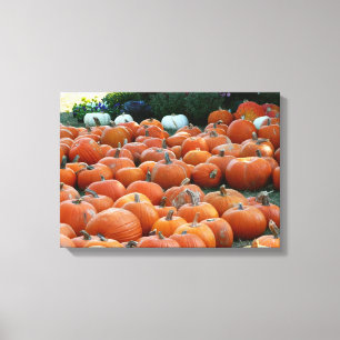 Toile Photographie de récolte d'automne des citrouilles