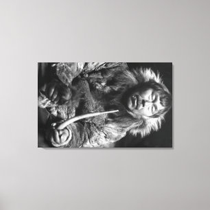 Toile Photographie esquimaude d'Alaska de tuyau de