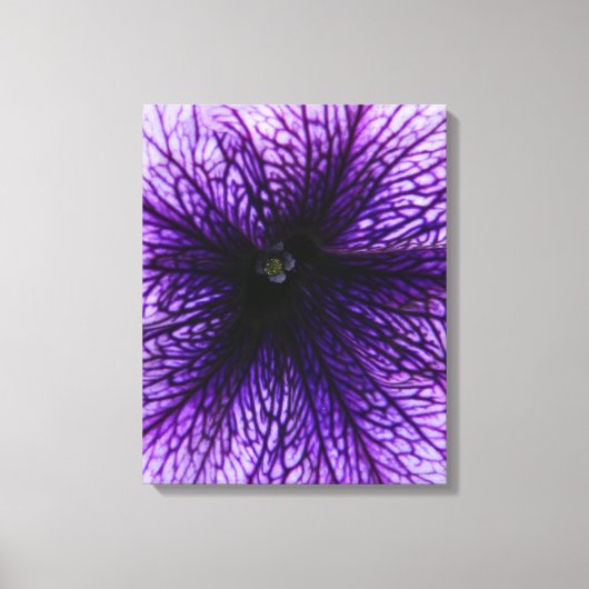 Toile Photographie macro à fleurs violettes (Recto)