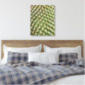 Toile Photographie Macro de Cactus (Insitu(Chambre))
